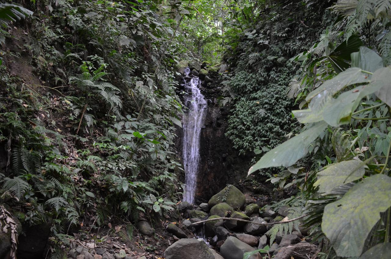 Lumbres Arenal Βίλα La Fortuna Εξωτερικό φωτογραφία